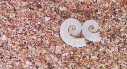 lahiru-supunchandra-_gTaZMhygVs-unsplash Nouvelles/Blog