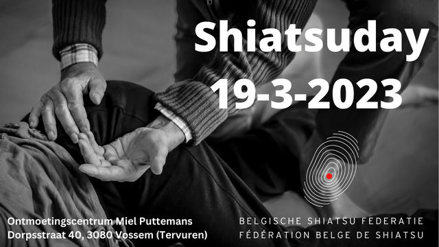 Shiatsuday_19-3-2023-1a987704 Federatie