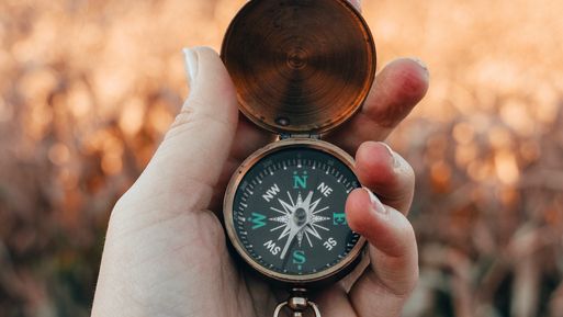 mariah-hewines-TQ3JV9ECgLM-unsplash-8f1159d2 Nieuws/blog