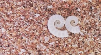 lahiru-supunchandra-_gTaZMhygVs-unsplash-e32d911b Philosophie shiatsu